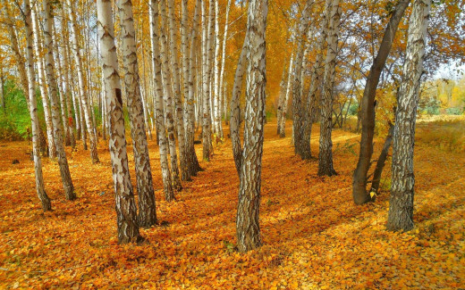 992645 (a): :1920x1200